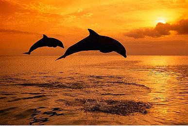 《要战便战》登陆Steam 好评城堡攻防即时战斗