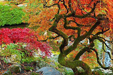 《剑与魔法与学园任务》第二部预告片分享